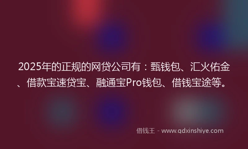 2025年的正规的网贷公司有：甄钱包、汇火佑金、借款宝速贷宝、融通宝Pro钱包、借钱宝途等。