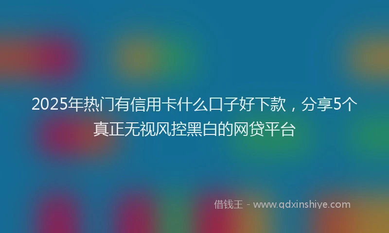 2025年热门有信用卡什么口子好下款，分享5个真正无视风控黑白的网贷平台