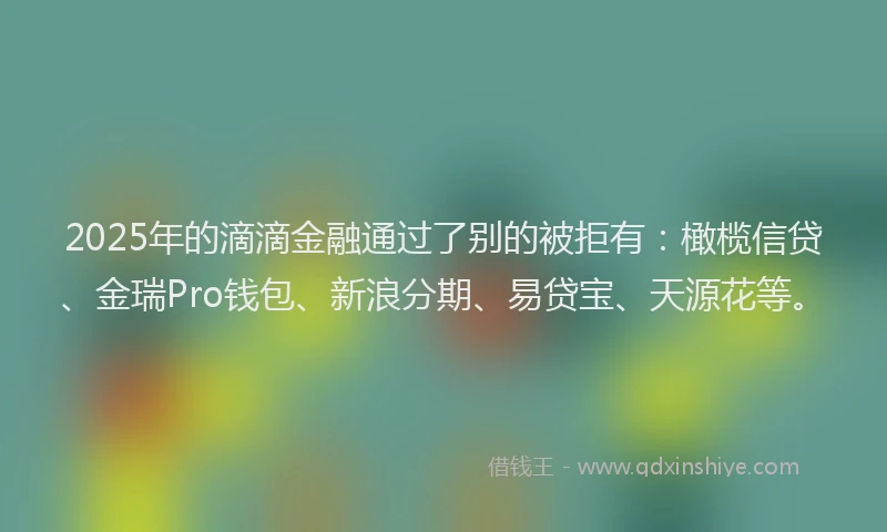 2025年的滴滴金融通过了别的被拒有：橄榄信贷、金瑞Pro钱包、新浪分期、易贷宝、天源花等。