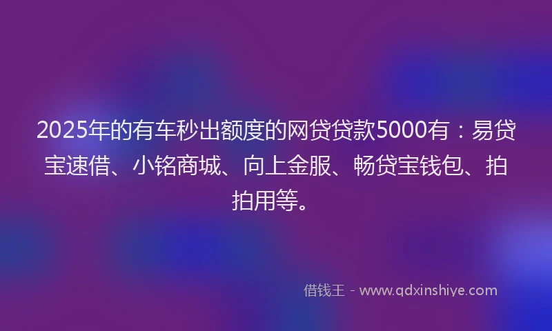 2025年的有车秒出额度的网贷贷款5000有：易贷宝速借、小铭商城、向上金服、畅贷宝钱包、拍拍用等。