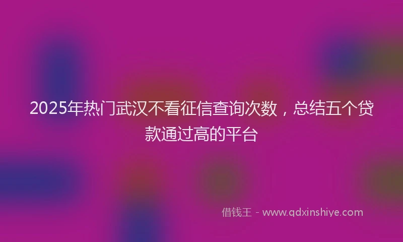 2025年热门武汉不看征信查询次数,总结五个贷款通过高的平台