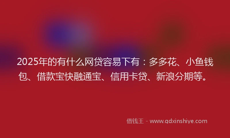 2025年的有什么网贷容易下有：多多花、小鱼钱包、借款宝快融通宝、信用卡贷、新浪分期等。
