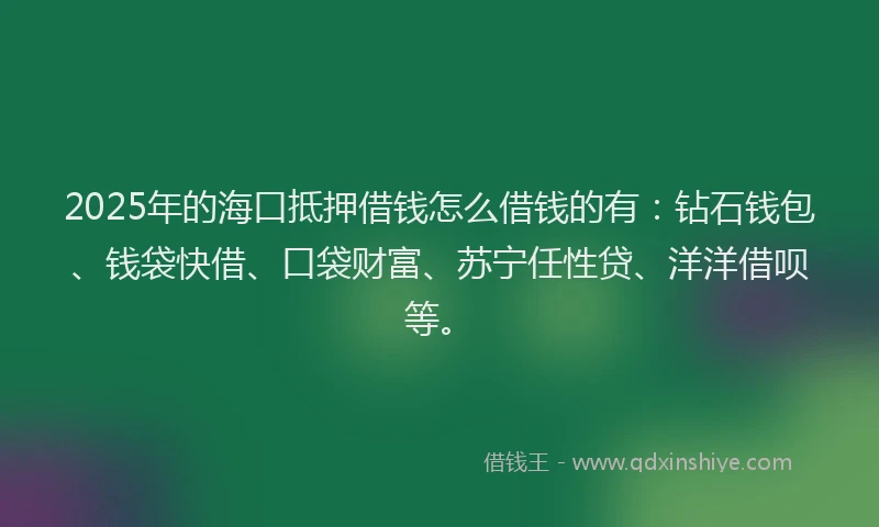 2025年的海口抵押借钱怎么借钱的有：钻石钱包、钱袋快借、口袋财富、苏宁任性贷、洋洋借呗等。