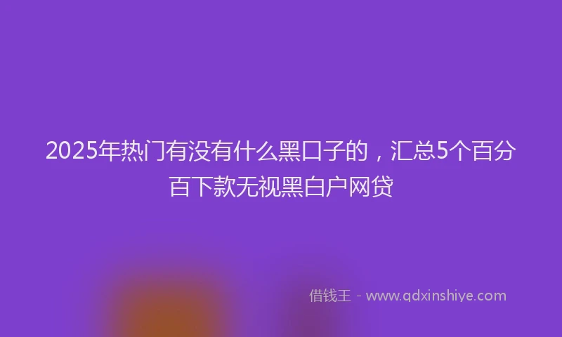 2025年热门有没有什么黑口子的，汇总5个百分百下款无视黑白户网贷