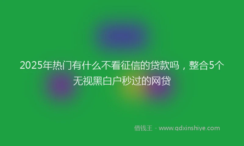 2025年热门有什么不看征信的贷款吗，整合5个无视黑白户秒过的网贷