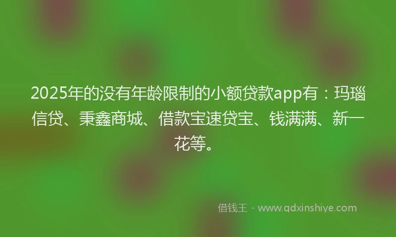 2025年的没有年龄限制的小额贷款app有：玛瑙信贷、秉鑫商城、借款宝速贷宝、钱满满、新一花等。
