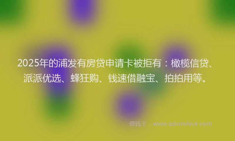 2025年的浦发有房贷申请卡被拒有：橄榄信贷、派派优选、蜂狂购、钱速借融宝、拍拍用等。
