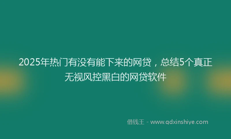 2025年热门有没有能下来的网贷，总结5个真正无视风控黑白的网贷软件