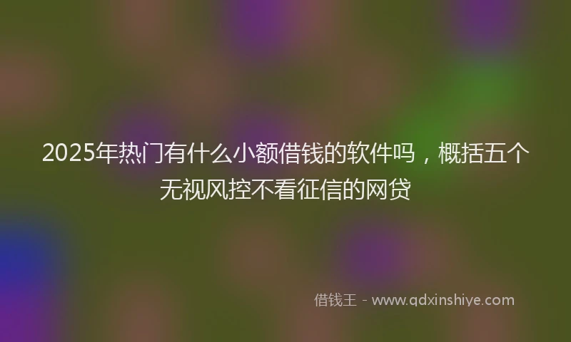 2025年热门有什么小额借钱的软件吗，概括五个无视风控不看征信的网贷