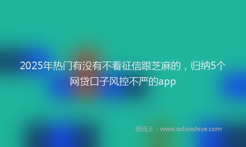 2025年热门有没有不看征信跟芝麻的，归纳5个网贷口子风控不严的app