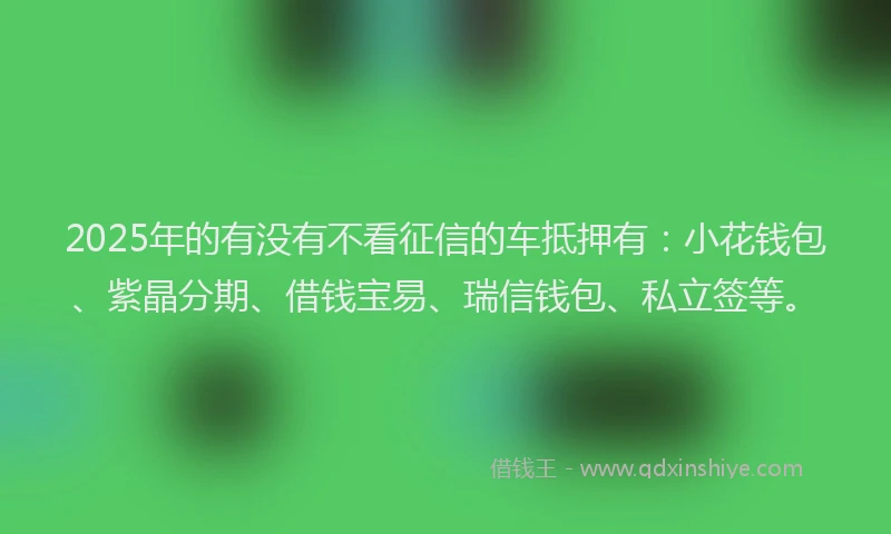 2025年的有没有不看征信的车抵押有：小花钱包、紫晶分期、借钱宝易、瑞信钱包、私立签等。