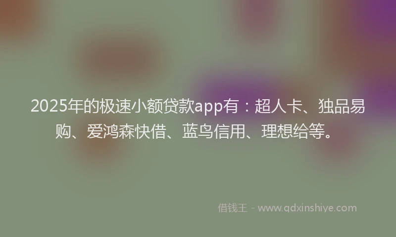 2025年的极速小额贷款app有：超人卡、独品易购、爱鸿森快借、蓝鸟信用、理想给等。