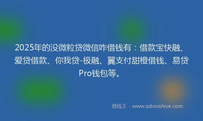 2025年的没微粒贷微信咋借钱有：借款宝快融、爱贷借款、你我贷-极融、翼支付甜橙借钱、易贷Pro钱包等。