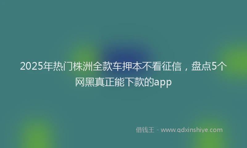 2025年热门株洲全款车押本不看征信,盘点5个网黑真正能下款的app