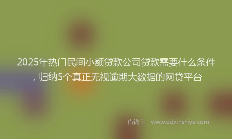 2025年热门民间小额贷款公司贷款需要什么条件，归纳5个真正无视逾期大数据的网贷平台