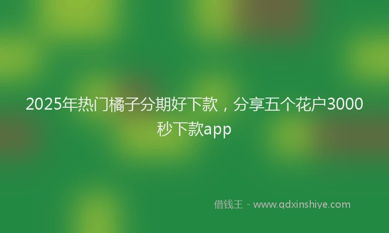 2025年热门橘子分期好下款，分享五个花户3000秒下款app