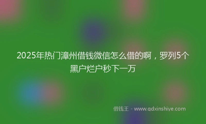 2025年热门漳州借钱微信怎么借的啊，罗列5个黑户烂户秒下一万