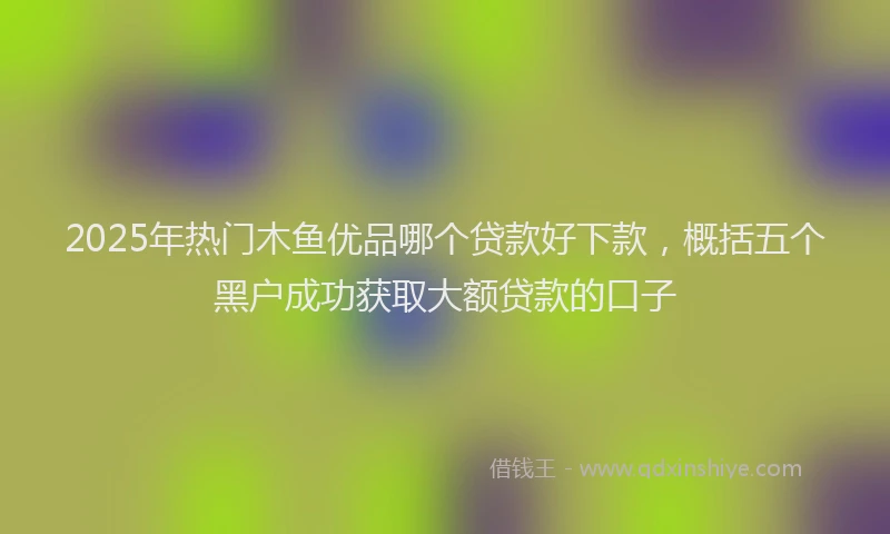 2025年热门木鱼优品哪个贷款好下款，概括五个黑户成功获取大额贷款的口子