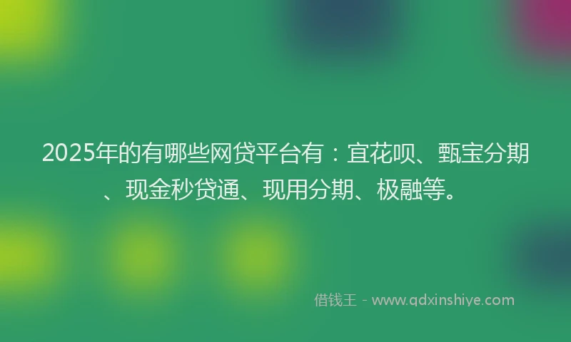 2025年的有哪些网贷平台有：宜花呗、甄宝分期、现金秒贷通、现用分期、极融等。