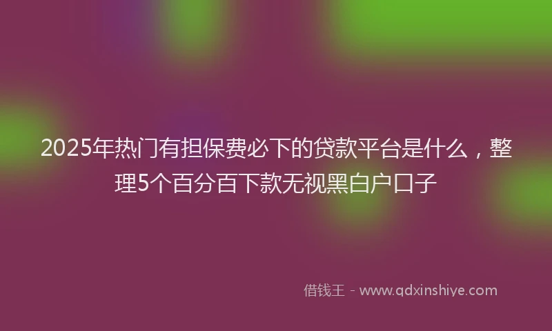 2025年热门有担保费必下的贷款平台是什么，整理5个百分百下款无视黑白户口子