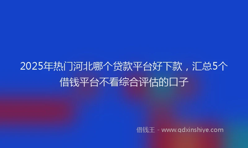 2025年热门河北哪个贷款平台好下款，汇总5个借钱平台不看综合评估的口子
