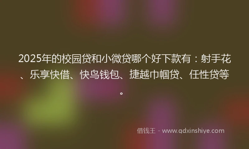 2025年的校园贷和小微贷哪个好下款有：射手花、乐享快借、快鸟钱包、捷越巾帼贷、任性贷等。
