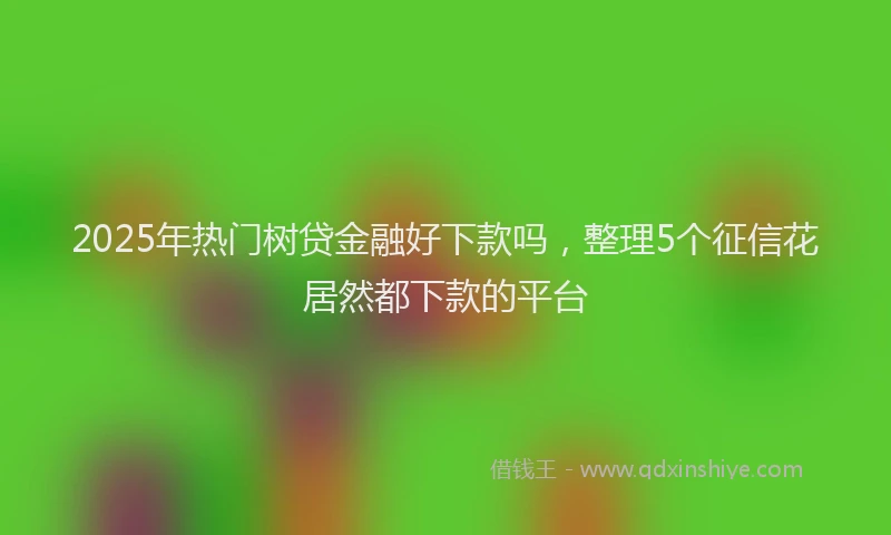 2025年热门树贷金融好下款吗，整理5个征信花居然都下款的平台
