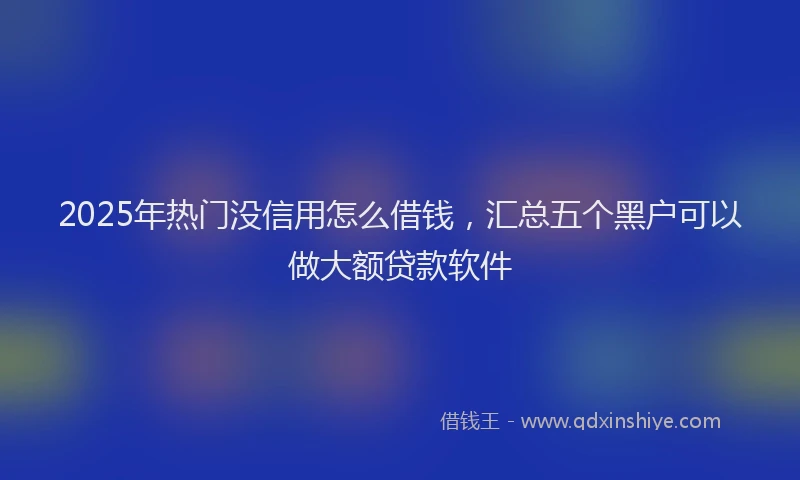 2025年热门没信用怎么借钱,汇总五个黑户可以做大额贷款软件