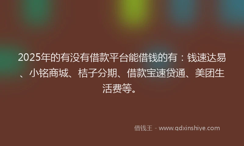 2025年的有没有借款平台能借钱的有:钱速达易、小铭商城、桔子分期、借款宝速贷通、美团生活费等。