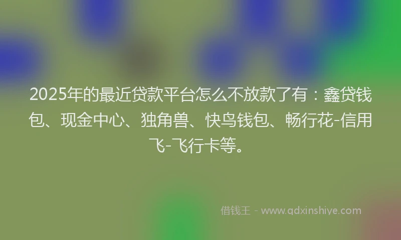 2025年的最近贷款平台怎么不放款了有：鑫贷钱包、现金中心、独角兽、快鸟钱包、畅行花-信用飞-飞行卡等。