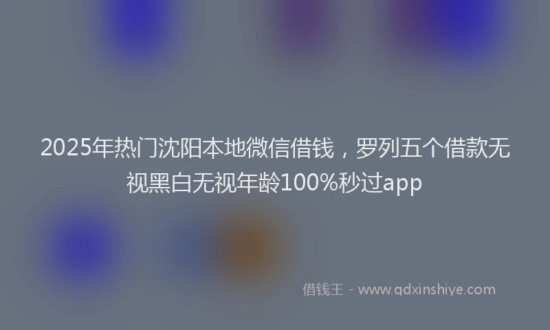 2025年热门沈阳本地微信借钱，罗列五个借款无视黑白无视年龄100%秒过app