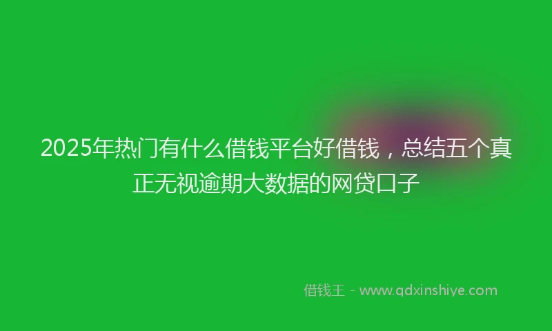 2025年热门有什么借钱平台好借钱，总结五个真正无视逾期大数据的网贷口子