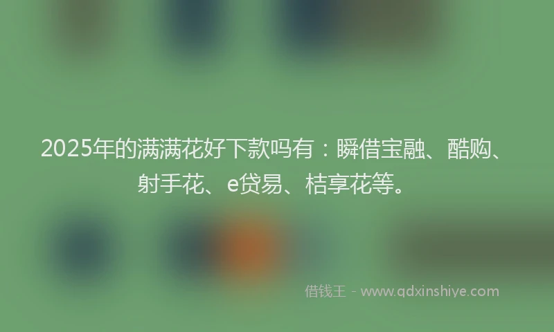 2025年的满满花好下款吗有：瞬借宝融、酷购、射手花、e贷易、桔享花等。