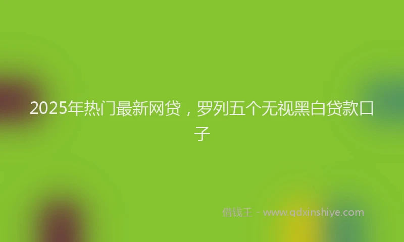 2025年热门最新网贷，罗列五个无视黑白贷款口子