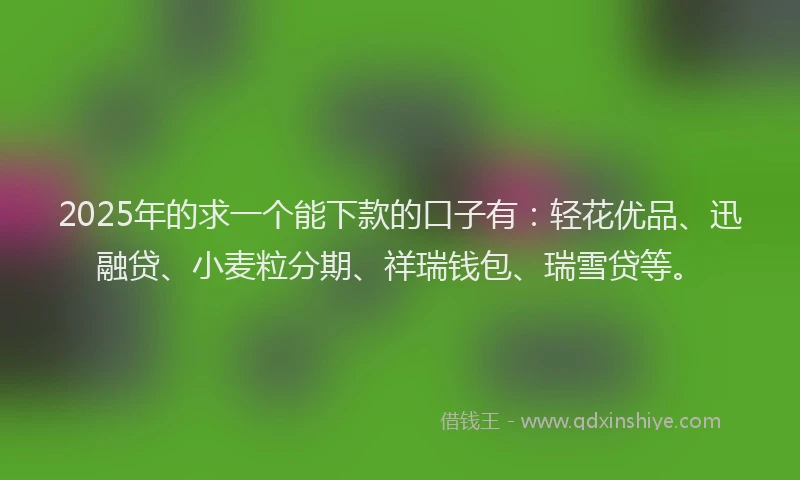 2025年的求一个能下款的口子有：轻花优品、迅融贷、小麦粒分期、祥瑞钱包、瑞雪贷等。