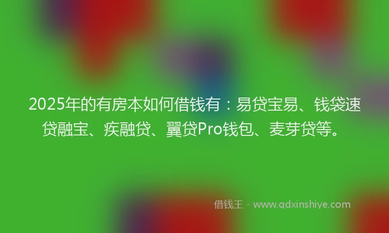 2025年的有房本如何借钱有：易贷宝易、钱袋速贷融宝、疾融贷、翼贷Pro钱包、麦芽贷等。