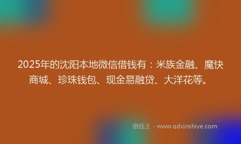 2025年的沈阳本地微信借钱有:米族金融、魔快商城、珍珠钱包、现金易融贷、大洋花等。