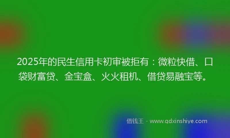 2025年的民生信用卡初审被拒有：微粒快借、口袋财富贷、金宝盒、火火租机、借贷易融宝等。
