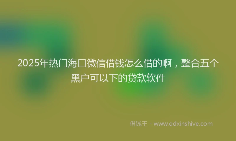 2025年热门海口微信借钱怎么借的啊，整合五个黑户可以下的贷款软件