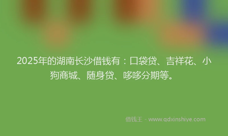 2025年的湖南长沙借钱有：口袋贷、吉祥花、小狗商城、随身贷、哆哆分期等。