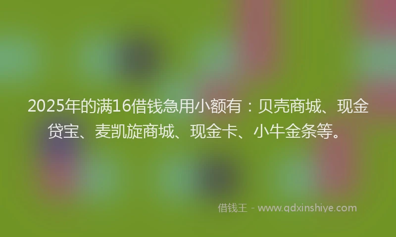 2025年的满16借钱急用小额有：贝壳商城、现金贷宝、麦凯旋商城、现金卡、小牛金条等。