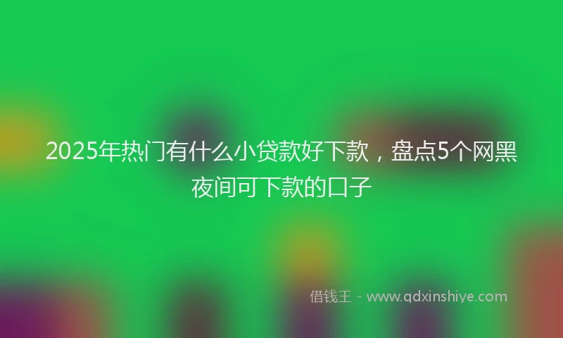 2025年热门有什么小贷款好下款，盘点5个网黑夜间可下款的口子