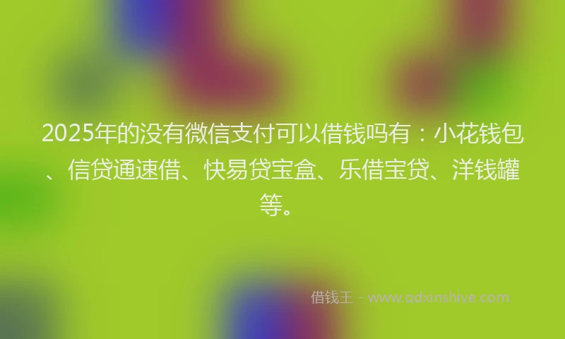 2025年的没有微信支付可以借钱吗有：小花钱包、信贷通速借、快易贷宝盒、乐借宝贷、洋钱罐等。