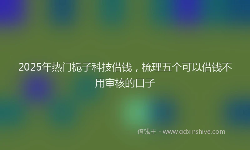 2025年热门栀子科技借钱，梳理五个可以借钱不用审核的口子