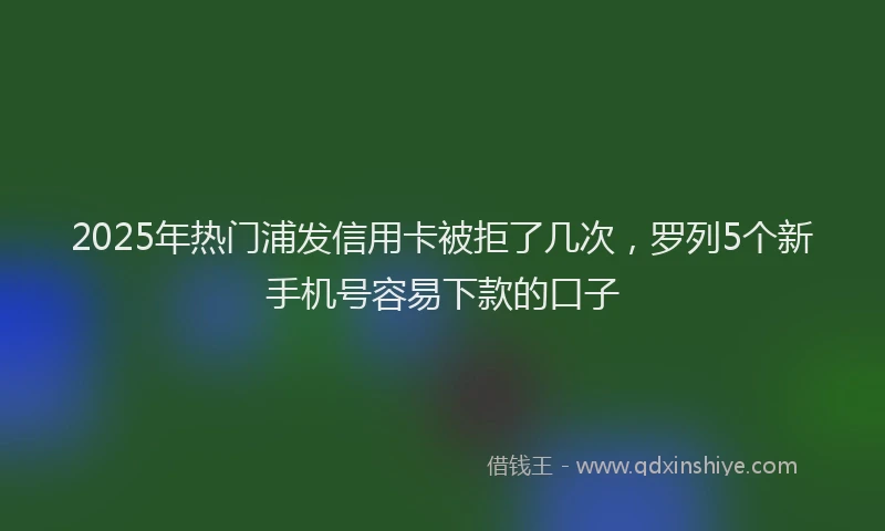 2025年热门浦发信用卡被拒了几次，罗列5个新手机号容易下款的口子