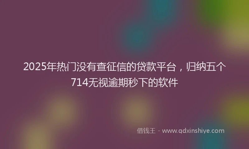 2025年热门没有查征信的贷款平台，归纳五个714无视逾期秒下的软件