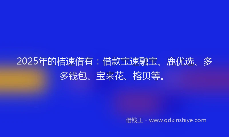 2025年的桔速借有：借款宝速融宝、鹿优选、多多钱包、宝来花、榕贝等。