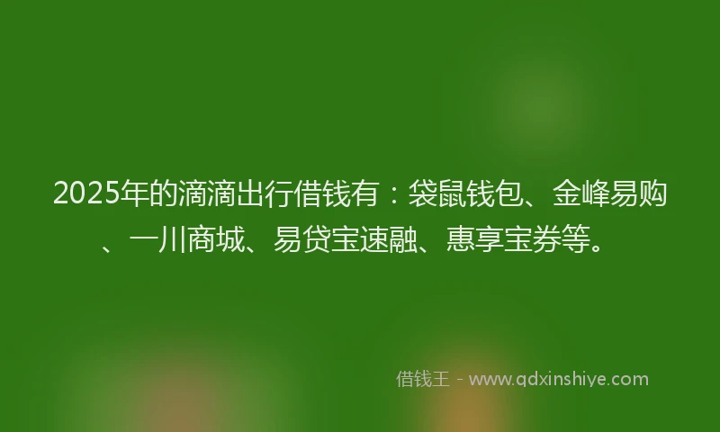 2025年的滴滴出行借钱有：袋鼠钱包、金峰易购、一川商城、易贷宝速融、惠享宝券等。