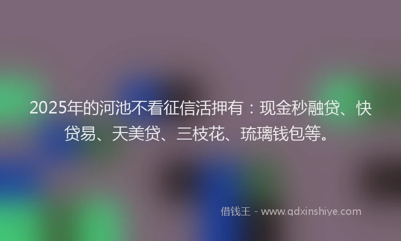2025年的河池不看征信活押有：现金秒融贷、快贷易、天美贷、三枝花、琉璃钱包等。