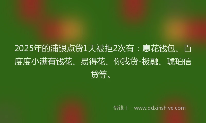 2025年的浦银点贷1天被拒2次有：惠花钱包、百度度小满有钱花、易得花、你我贷-极融、琥珀信贷等。